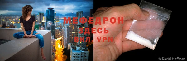 стаф Богданович