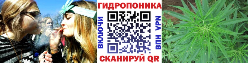 Купить закладки  Демидов  Канабис марихуана 